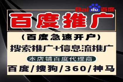 搜索引擎营销（SEM）广告的创意与执行案例